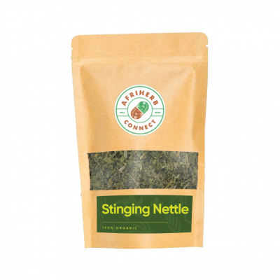 Stinging Nettle